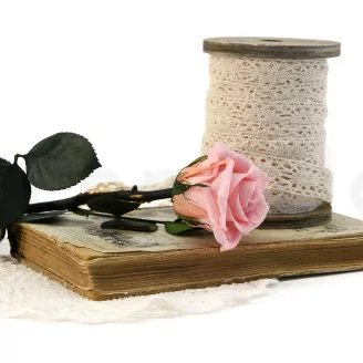 Preserved Rose on stem 12" Light Pink (x25)