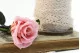 Preserved Rose on stem 12" Light Pink (x25) 4