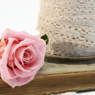 Preserved Rose on stem 12" Light Pink (x25)