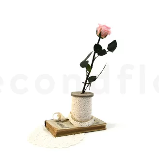 Preserved Rose on stem 12" Light Pink (x25)