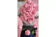 Preserved Rose on stem 12" Light Pink (x25) 2