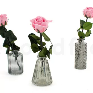 Preserved Rose on stem 12" Light Pink (x25)
