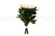 Preserved Rose Stem Long (set of 5) 11