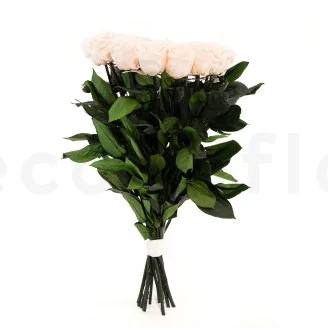 Preserved Rose Stem Long (set of 5)