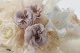 Preserved Wild Rose Gray (set of 12) 2