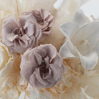 Preserved Wild Rose Gray (set of 12)