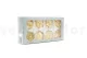 Preserved Rose L Pearl White (set of 8) 8