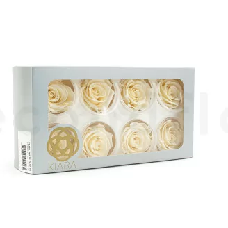Preserved Rose L Pearl White (set of 8)