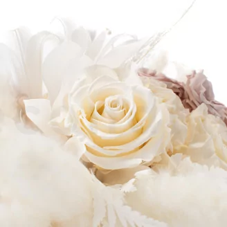 Preserved Rose L Pearl White (set of 8)