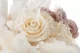 Preserved Rose L Pearl White (set of 8) 11