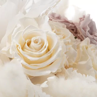 Preserved Rose L Pearl White (set of 8)