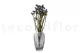 Preserved Statice Sinuatum Lilac 3