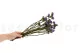 Preserved Statice Sinuatum Lilac 2