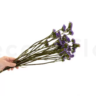 Preserved Statice Sinuatum Lilac