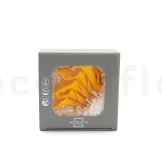 Preserved Calla Lily Yellow (set of 5)