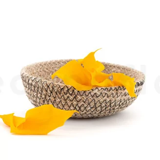 Preserved Calla Lily Yellow (set of 5)