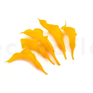 Preserved Calla Lily Yellow (set of 5)