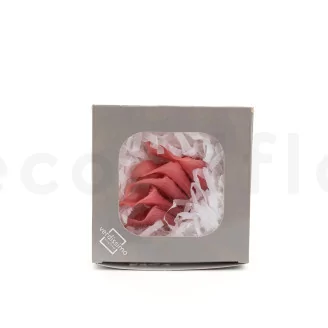 Preserved Calla Lily Pink (set of 5)