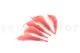 Preserved Calla Lily Pink (set of 5) 4