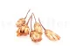 Dried Protea Repens Cream (set of 5) 6