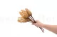 Dried Protea Repens Cream (set of 5) 3
