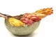 Dried Protea Repens Cream (set of 5) 10