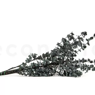 Preserved Eucalyptus Baby-Blue