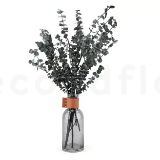 Preserved Eucalyptus Baby-Blue