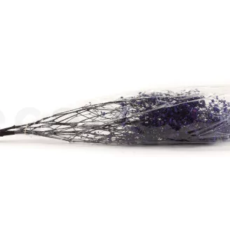 Preserved Baby's Breath Gypsophila Blue