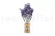 Preserved Baby's Breath Gypsophila Blue 3