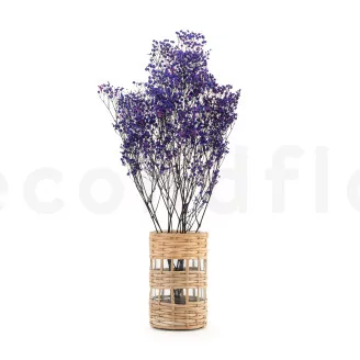 Preserved Baby's Breath Gypsophila Blue