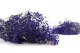Preserved Baby's Breath Gypsophila Blue 6