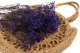 Preserved Baby's Breath Gypsophila Blue 8