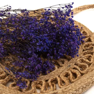 Preserved Baby's Breath Gypsophila Blue