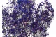 Preserved Baby's Breath Gypsophila Blue 2