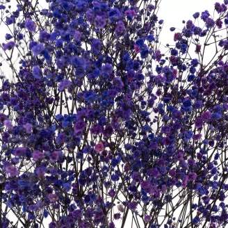 Preserved Baby's Breath Gypsophila Blue
