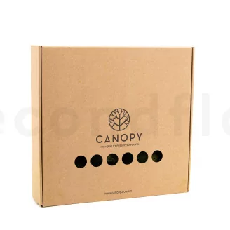 Preserved Pole Moss Nature Green (Box)