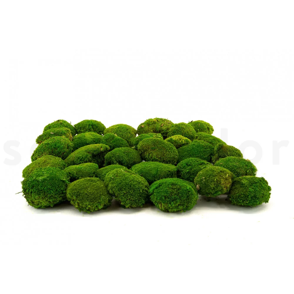 Natural Green Moss Decorative Ball (2-Set of 12) — ZENGENIUS, INC.