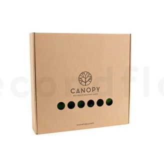 Preserved Mini Pole Moss Nature Green (Box)