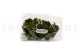 Preserved Club Moss 9