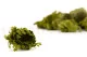 Preserved Club Moss 7