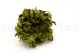 Preserved Club Moss 5