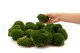 Preserved Pole Moss Nature Green (Box) 4