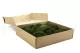 Preserved Pole Moss Nature Green (Box) 2