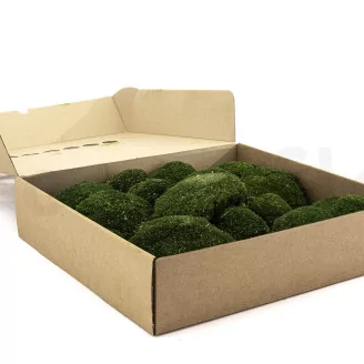Preserved Pole Moss Nature Green (Box)