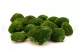 Preserved Pole Moss Nature Green (Box) 7
