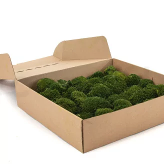 Preserved Mini Pole Moss Nature Green (Box)