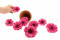 One Box of 9 Strawberry Pink Preserved Gerbera Heads