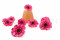 One Box of 9 Strawberry Pink Preserved Gerbera Heads