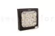 Preserved Wild Rose White (set of 12) 10